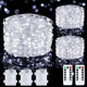 Cool White - 3