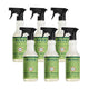 Iowa Pine - 16 Fl Oz (Pack of 6)