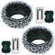 Cool White - 2 Sets of 100 LEDs