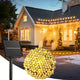 Warm White - 100LED 1Pack