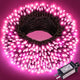 Pink - 100FT 300LED