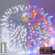 Cool White and Multicolor - 100LED
