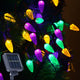 Yellow Purple Green - C6 100LEDS
