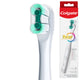 1 Count (Pack of 1)