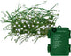 CoolWhite - 100LED 1Pack