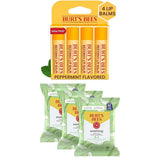 Burt's Bees Cucumber & Mint Face Wipes – Desk-Side Cleanser for Busy Commuters
