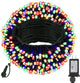 Multicolor - 33FT 100LED