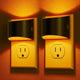 Amber - 2 Count (Pack of 1)