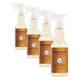 Apple Cider - 16 Fl Oz (Pack of 12)