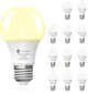 Soft White 2700k - 60W-12 Pcs