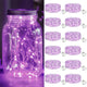 Purple - 12 Pack