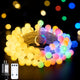 Warm White to Multicolor - 100 LED Plug