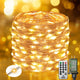 Warm White - 165FT 500LED