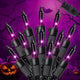 Purple - 50 Count