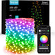 100 LED Smart (Green Wire)