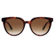 Brown Tortoise - 53 Millimeters