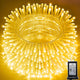 Transparent line：98FT 300LED - Warm White