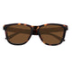 Brown Tortoise Frame Brown Lens