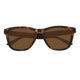 Elastic Brown Tortoise Frame Brown Lens