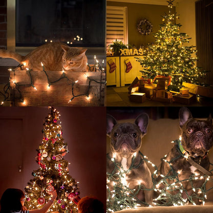 Thoughtful Holiday Gift, 150-Bulb Warm White Christmas String Lights in a Ready-to-Give Presentable Box