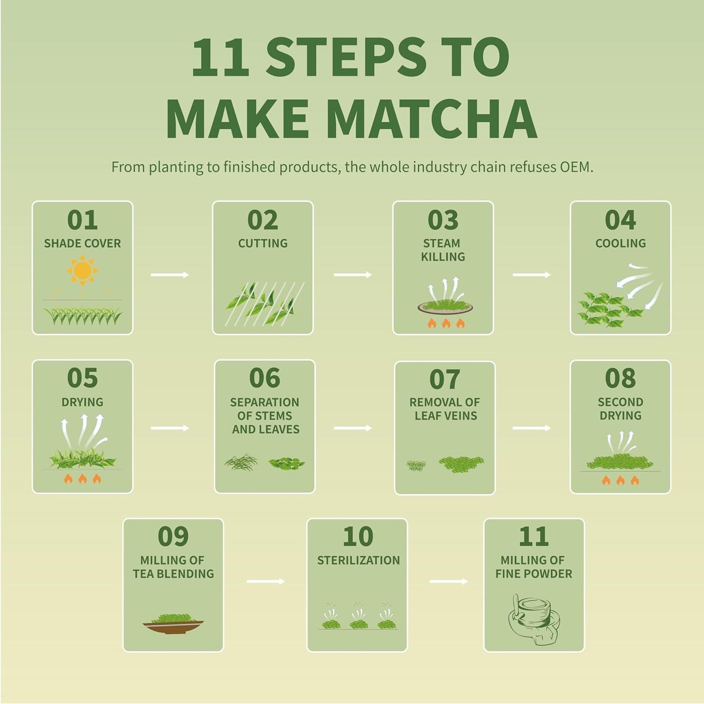 TIAN HU SHAN Matcha Green Tea Powder – Focused Caffeine for Home Office Routines, Sustained Energy for Work and Study