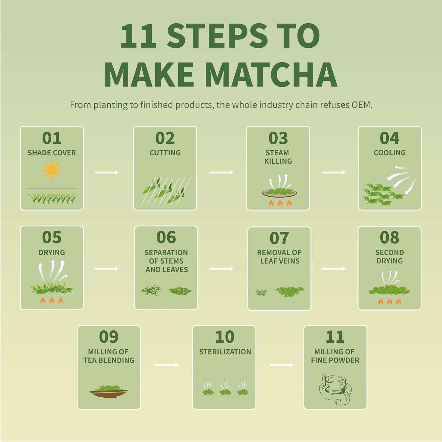 TIAN HU SHAN Matcha Green Tea Powder – Focused Caffeine for Home Office Routines, Sustained Energy for Work and Study