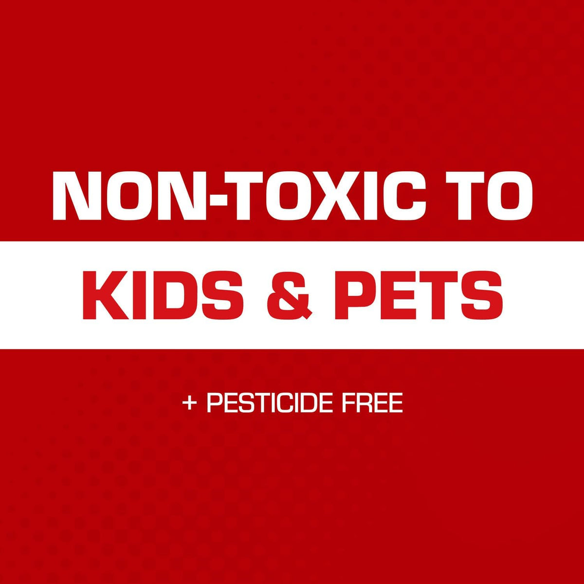 Tomcat Mouse Glue Traps with Eugenol – Non-Toxic Pest Control Safe for Nurseries and Playrooms