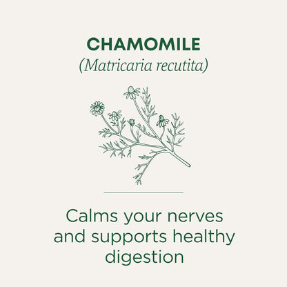 Traditional Medicinals Organic Chamomile Tea – Nightly Wind-Down Herbal Tea for Stress Relief and Restful Sleep, 16 Bags