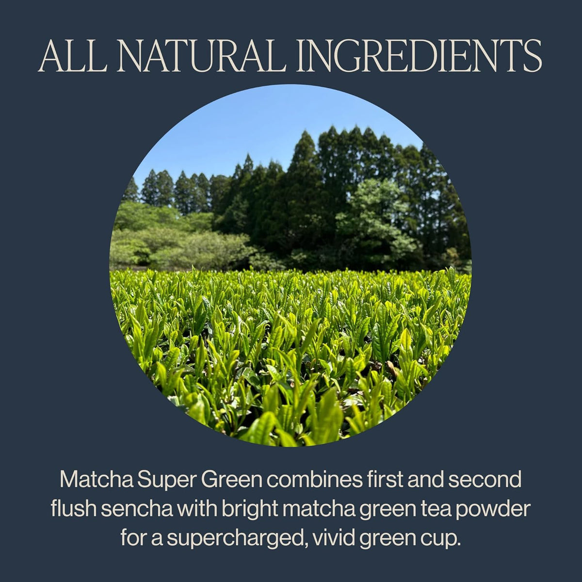 usda organic, non-gmo, gluten-free, and dairy-free certified
