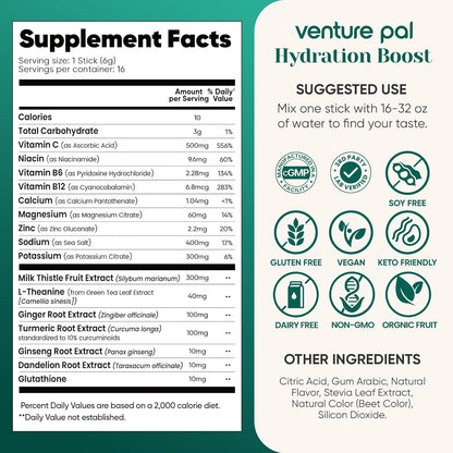 Venture Pal Hydration Packets – Travel & Flight Electrolytes for On-the-Go Adventures