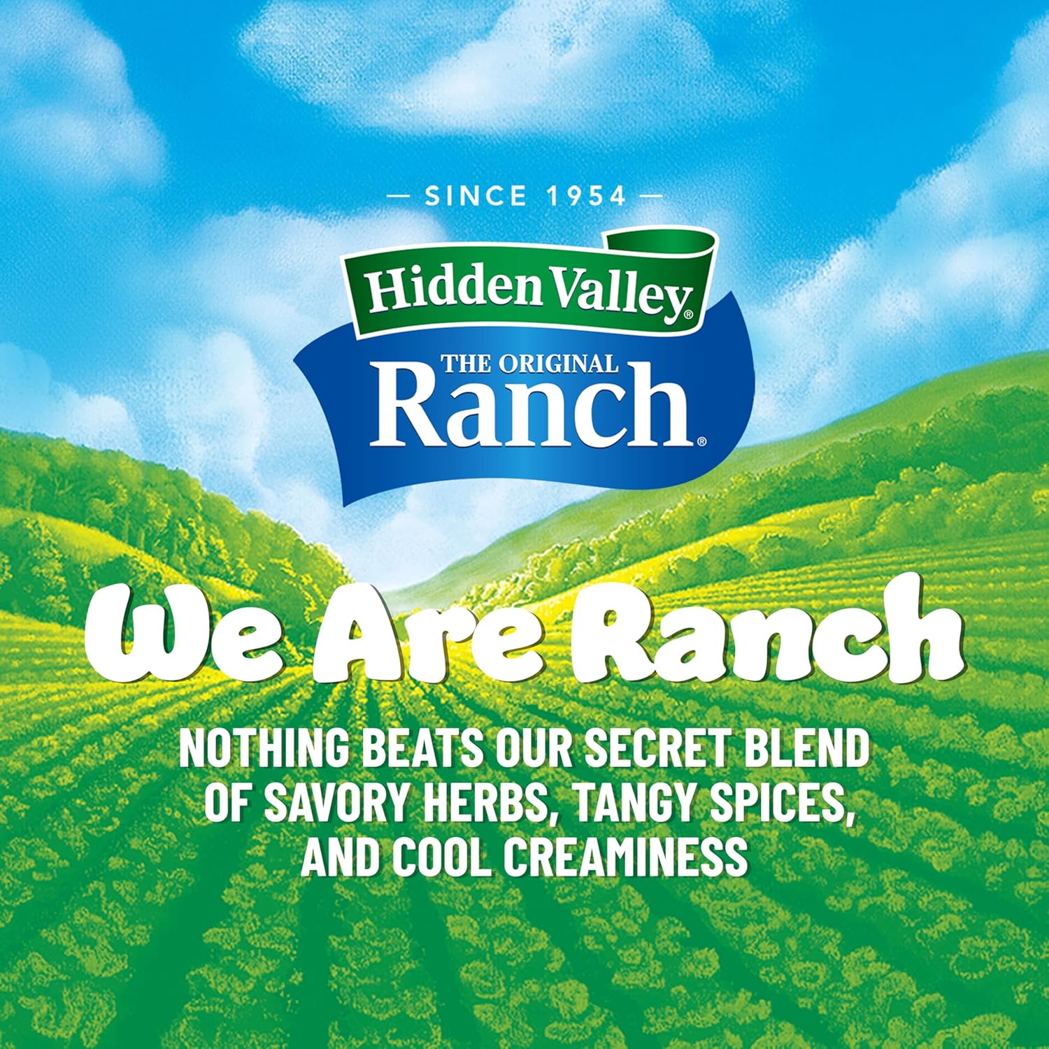 versatile dry-mix format usable as dressing base, dip, seasoning sprinkle, or dry rub