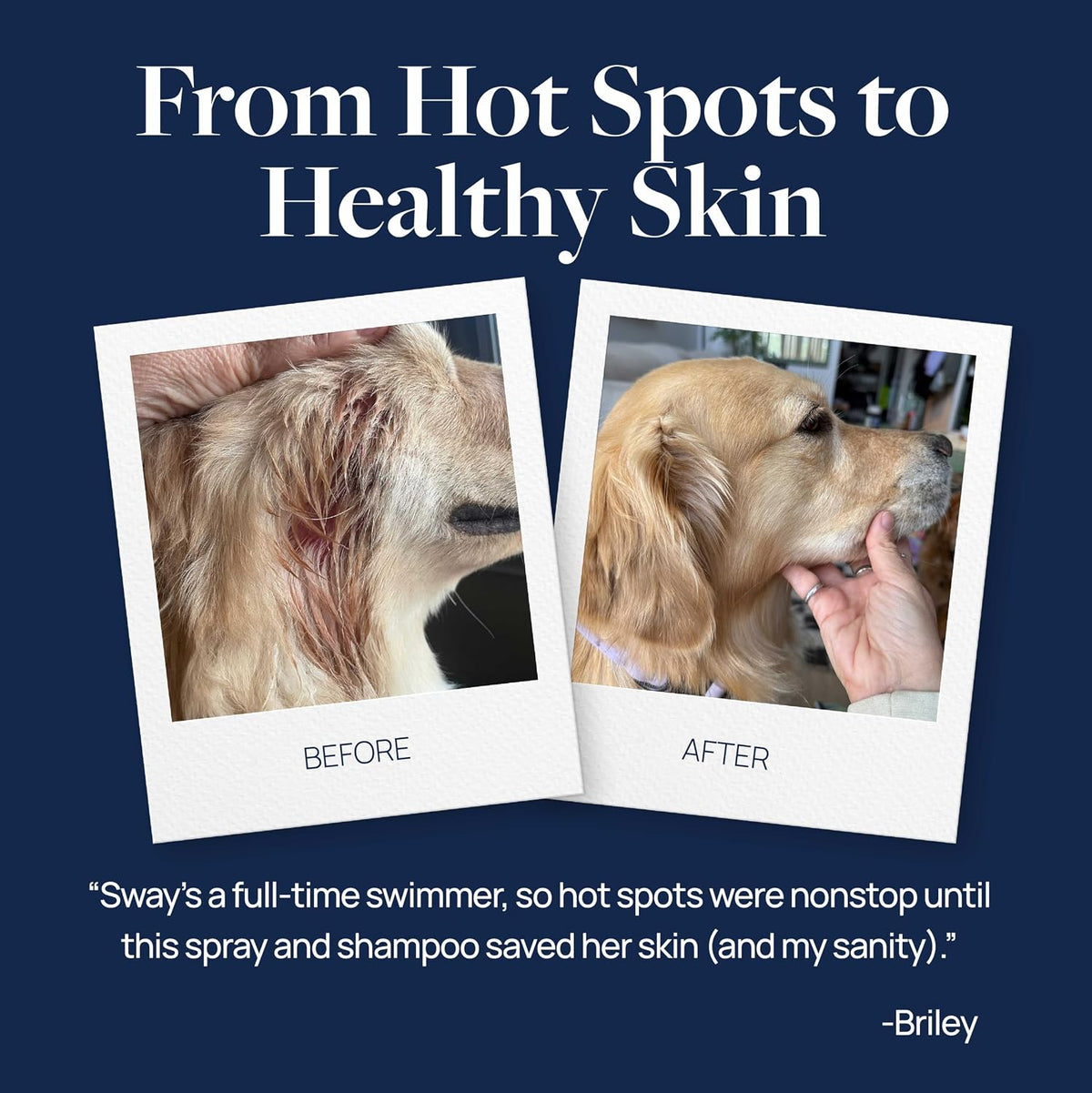 Veterinary Formula Clinical Care Hot Spot & Itch Relief Spray for Dogs & Cats – Paraben-Free, Dye-Free Formula Safe for Multi-Pet Homes