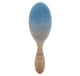 1 Count (Pack of 1) - Desert Blue