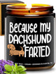 Funny Dachshund Candle
