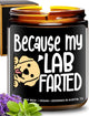 Funny Lab Candle