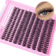 50D-Lash Kit