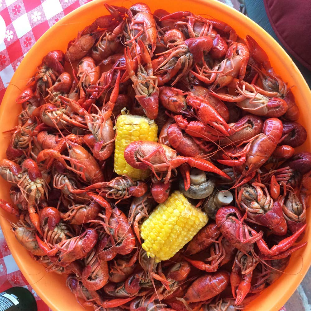 Zatarain's Crawfish, Shrimp & Crab Boil 4.5 lb – Louisiana Heritage Gift for Crawfish Lovers and Seafood Fans